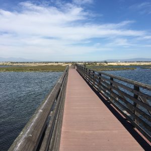 Picture of a bridge